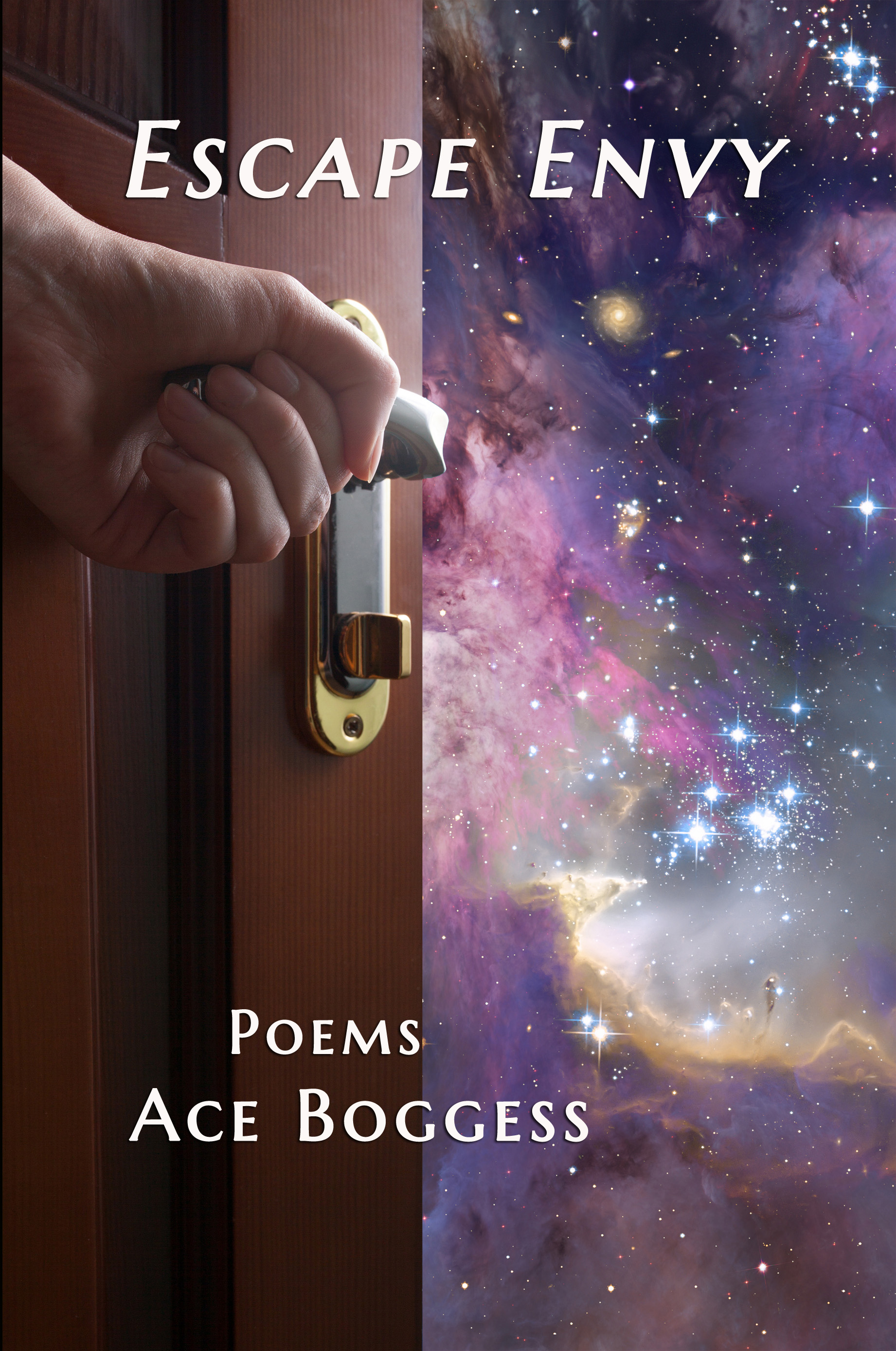 Escape Envy by Ace Boggess